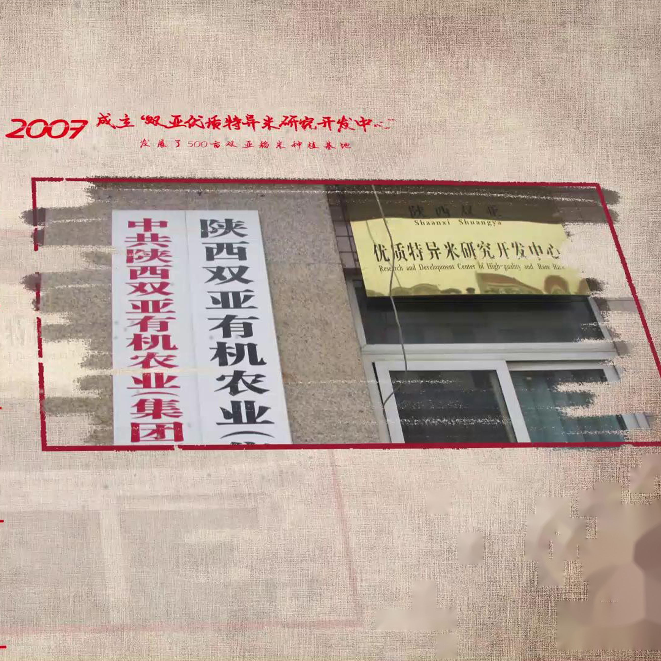 洋县双亚周大黑-品种培育