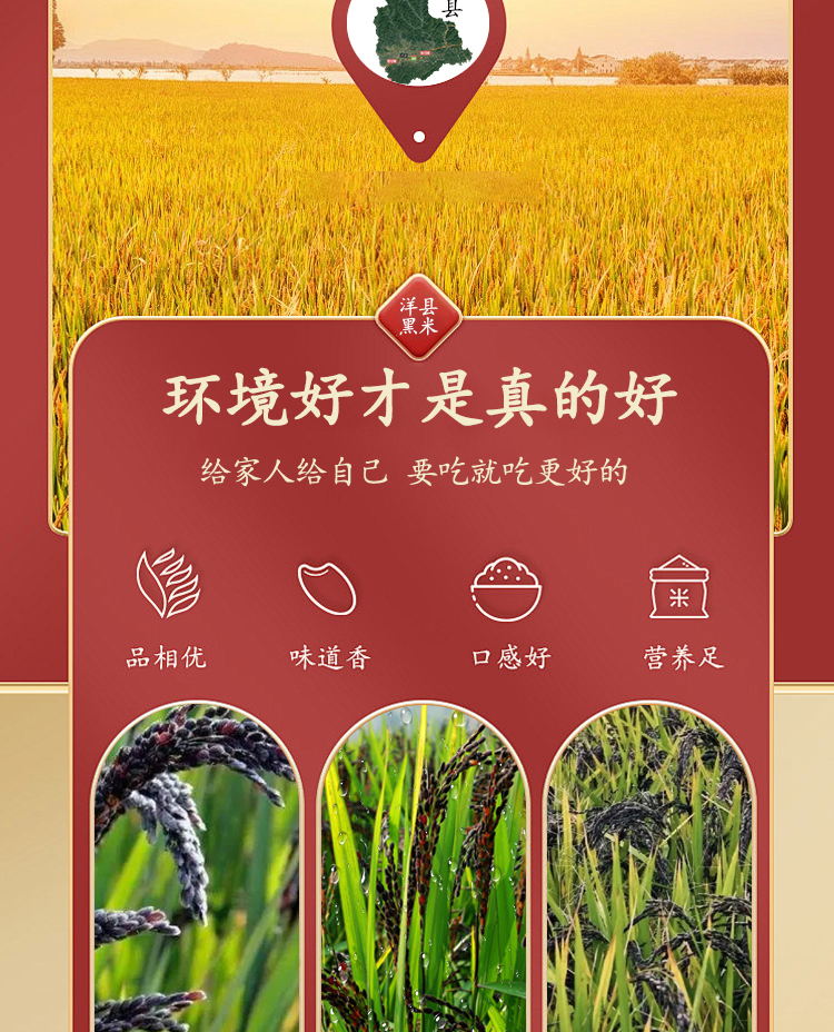 最新详情_06.jpg